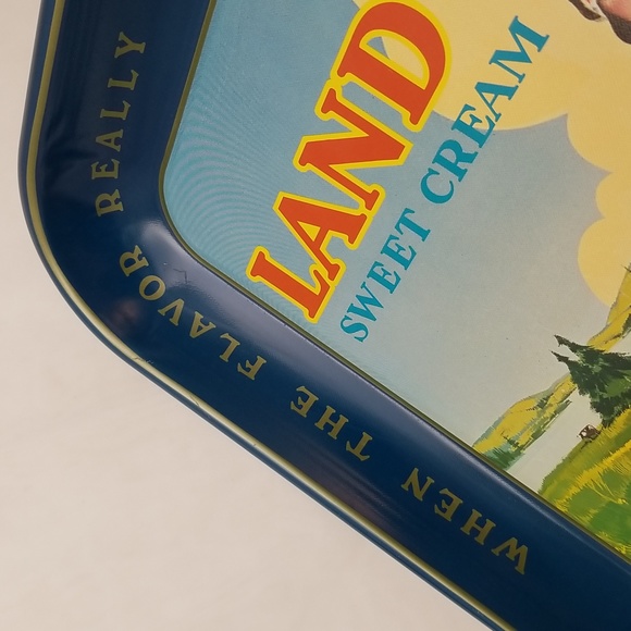 Land O' Lakes Butter Metal Tray - Picture 4 of 16